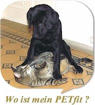 zu PETfit